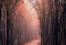 比利时队取得意外胜利，晋级足球比赛半决赛